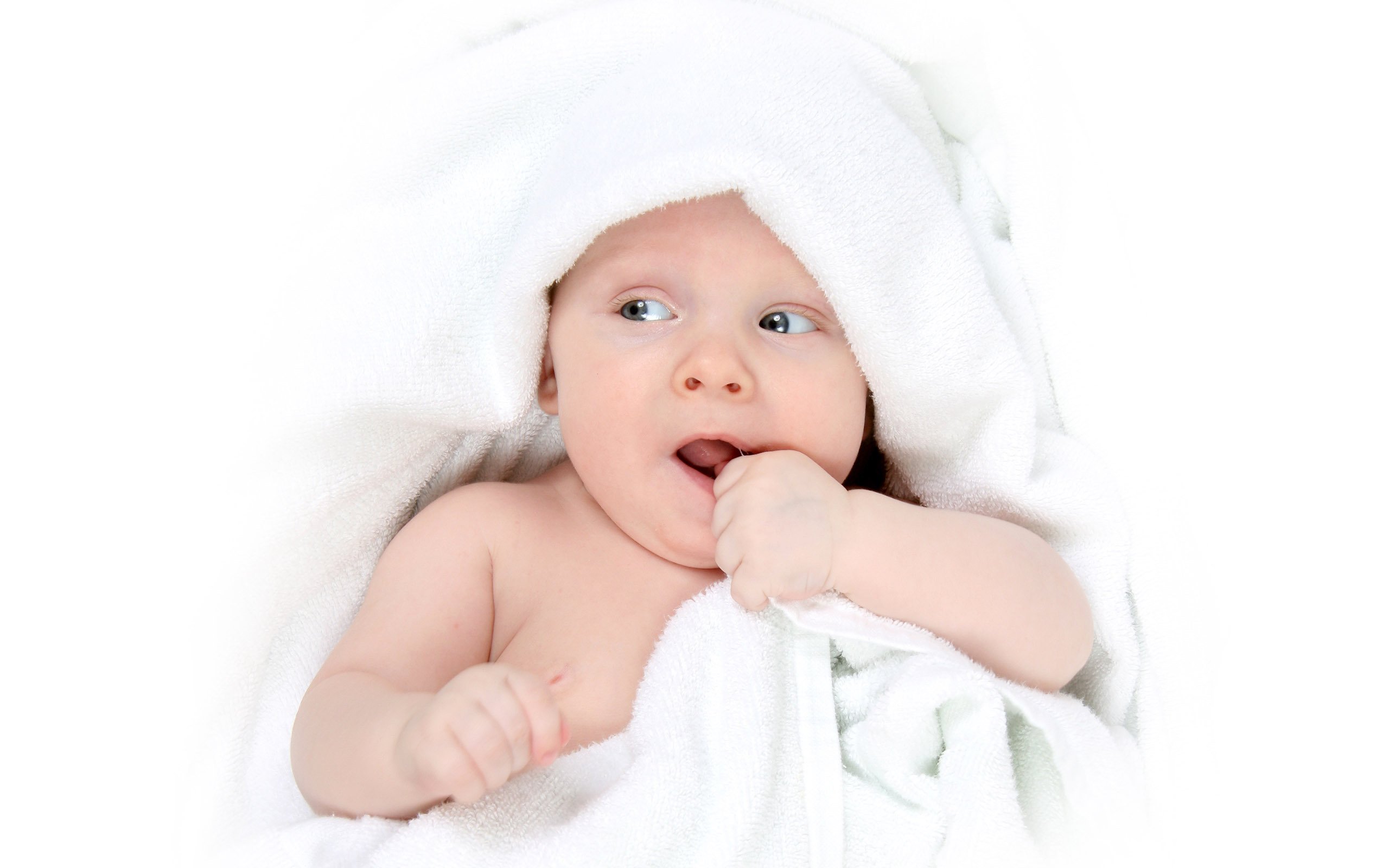 供卵代生多囊卵巢试管婴儿成功率